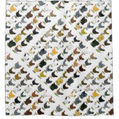 四九チキンヘン シャワーカーテン (正面)