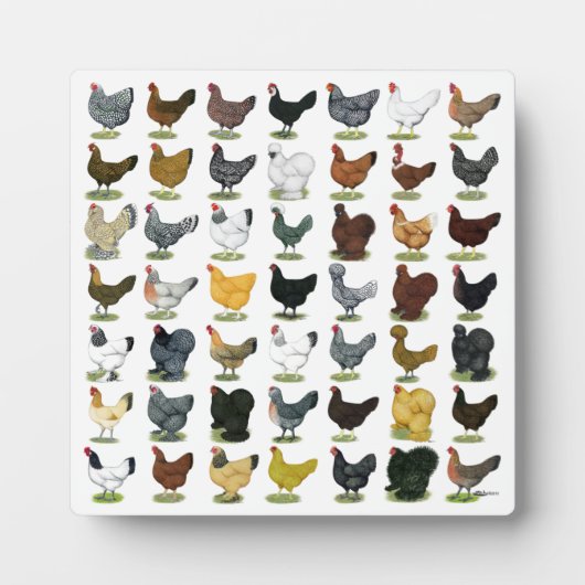 四九チキンヘン フォトプラーク (正面)