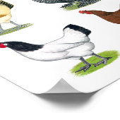 四九チキンヘン ポスター (角)