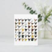 四九チキンヘン ポストカード (スタンド正面)