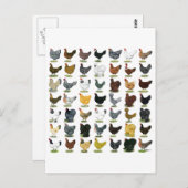 四九チキンヘン ポストカード (正面/裏面)