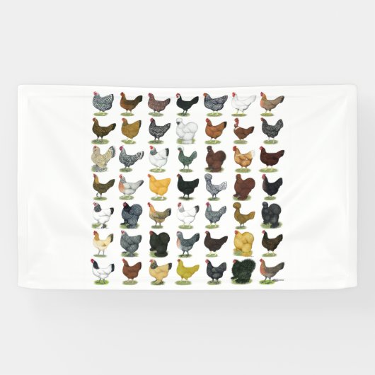 四九チキンヘン 横断幕 (横)