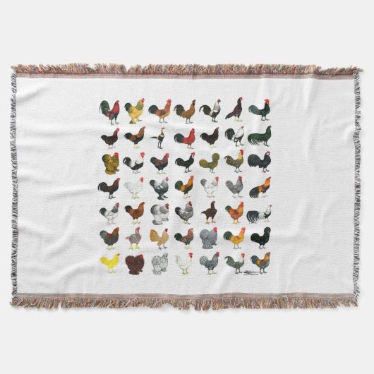 四九ローター スローブランケット (正面)