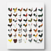 四九ローター フォトプラーク (正面)