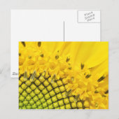 四分の一太陽 ポストカード (正面/裏面)
