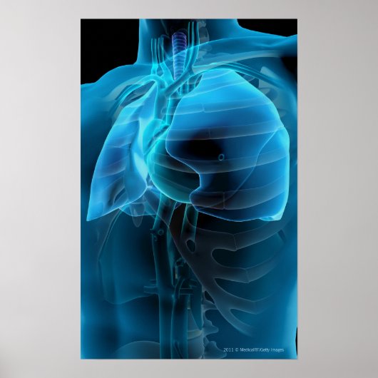 四分の三のハートと肺 ポスター (正面)