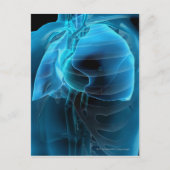 四分の三のハートと肺 ポストカード (正面)