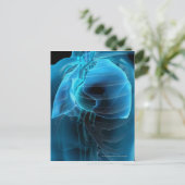 四分の三のハートと肺 ポストカード (スタンド正面)