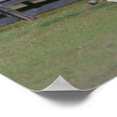 四分の馬とミニチュアを一緒に ポスター (角)