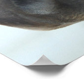 四分の馬のポスター ポスター (角)