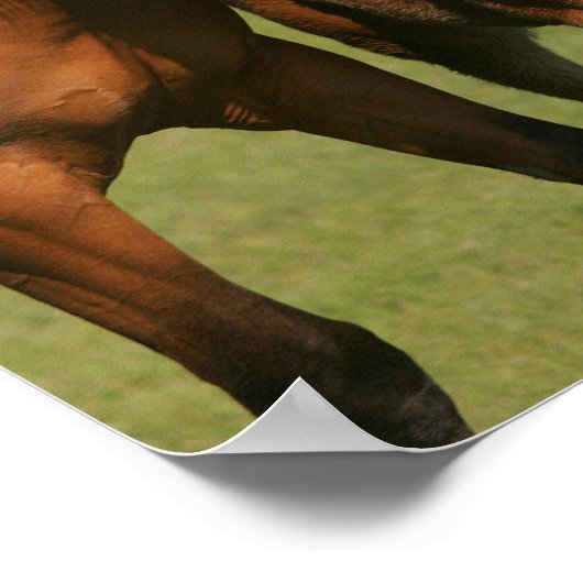 四分の馬の馬と馬の立ち ポスター (角)
