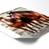 四分の馬術 ポスター (角)