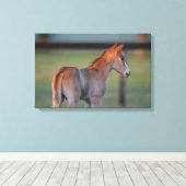 四分の馬蹄 キャンバスプリント (インサイチュ (ウッドフロア))