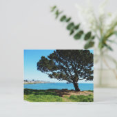 四季の木 ポストカード (スタンド正面)