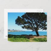 四季の木 ポストカード (正面/裏面)