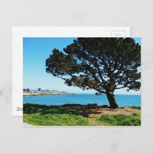 四季の木 ポストカード (正面/裏面)