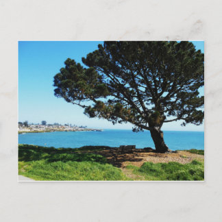 四季の木 ポストカード