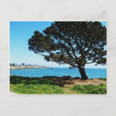 四季の木 ポストカード (正面)