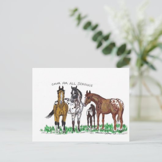 四季の色 ポストカード (スタンド正面)