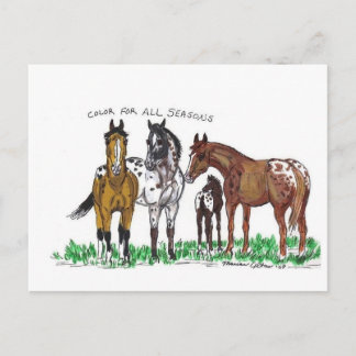 四季の色 ポストカード