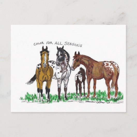 四季の色 ポストカード (正面)