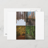 四季を通じて聖なる森 ポストカード (正面/裏面)