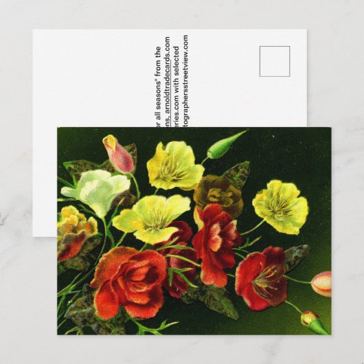 四季折々の花束！ ポストカード (正面/裏面)
