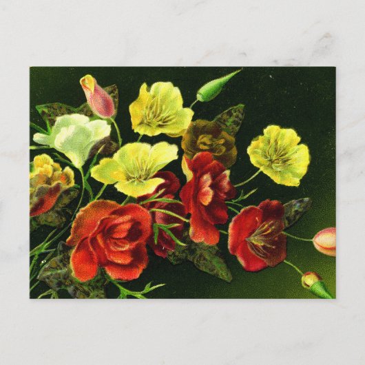 四季折々の花束！ ポストカード (正面)