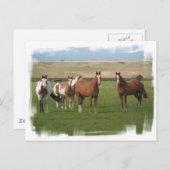 四季折れ葉書 ポストカード (正面/裏面)