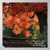 四季 – 秋のポスター ポスター (正面)