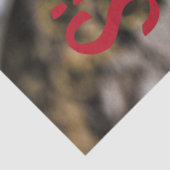 四川コショウ中国の料理 薄葉紙 (詳細)