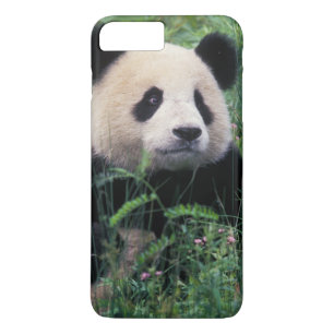 四川省臥龍谷の草むらにいるジャイアントパンダ iPhone 8 PLUS/7 PLUSケース