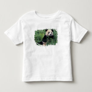 四川省臥龍谷の草原のジャイアントパンダ トドラーTシャツ