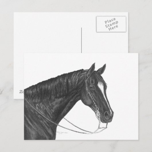四方馬 ポストカード (正面/裏面)
