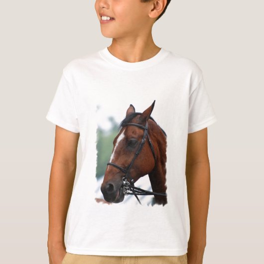 四方騎馬風景青少年スウェットシャツ Tシャツ (正面)