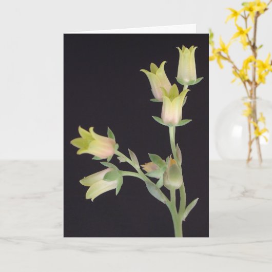 四旬節の小さな花 カード (黄色い花)