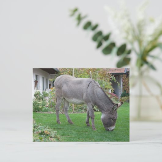 四本の足を持つ生物学的芝刈機 ポストカード (スタンド正面)