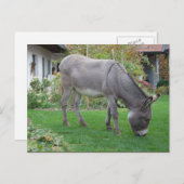 四本の足を持つ生物学的芝刈機 ポストカード (正面/裏面)