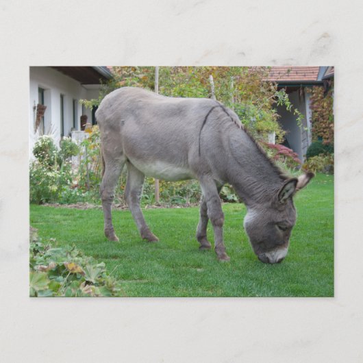 四本の足を持つ生物学的芝刈機 ポストカード (正面)