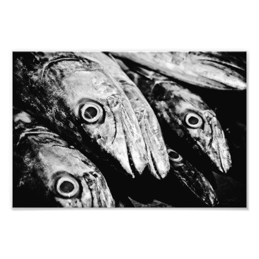 四目 フォトプリント            (正面)