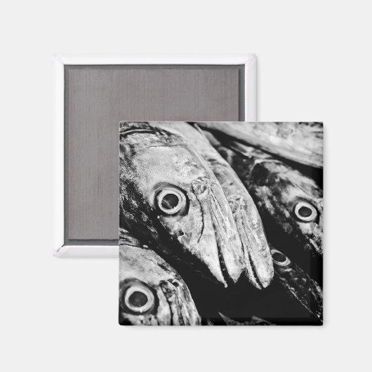 四目 マグネット (正面/裏面)