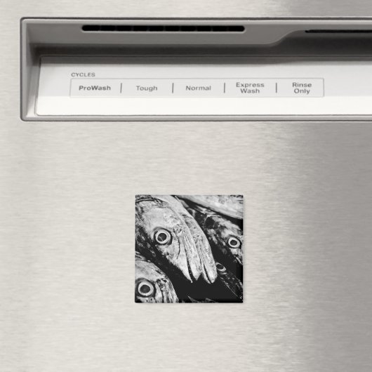 四目 マグネット (インサイチュ (食洗機))