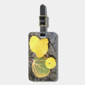 四秋の色の揺れ《植物》アスペン葉の写真 ラゲッジタグ (正面縦)