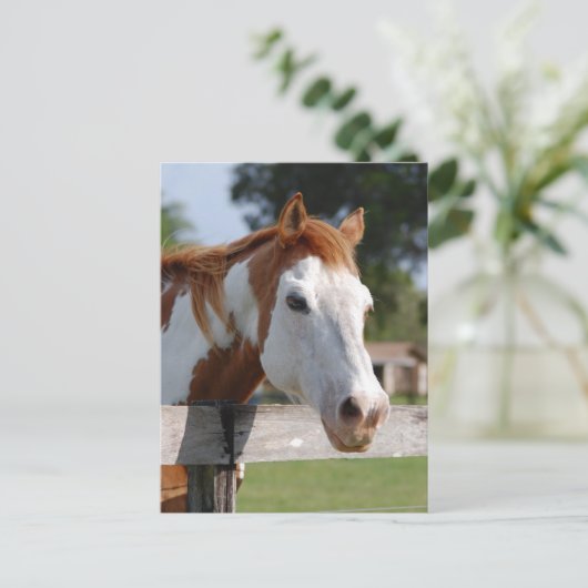 四等兵 ポストカード (スタンド正面)