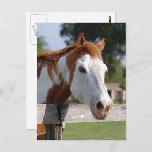 四等兵 ポストカード (正面/裏面)