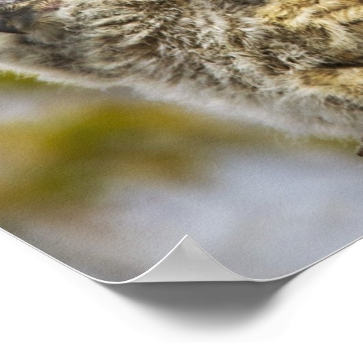 四素晴らし角フクロウ ポスター (角)