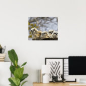 四素晴らし角フクロウ ポスター (ホームオフィス)