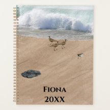 四羽の鳥をビーチ