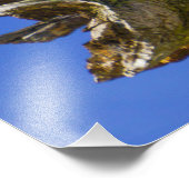 四肢上のペリカン写真プリント フォトプリント            (角)