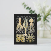 四肢動物と八肢動物 ポストカード (スタンド正面)